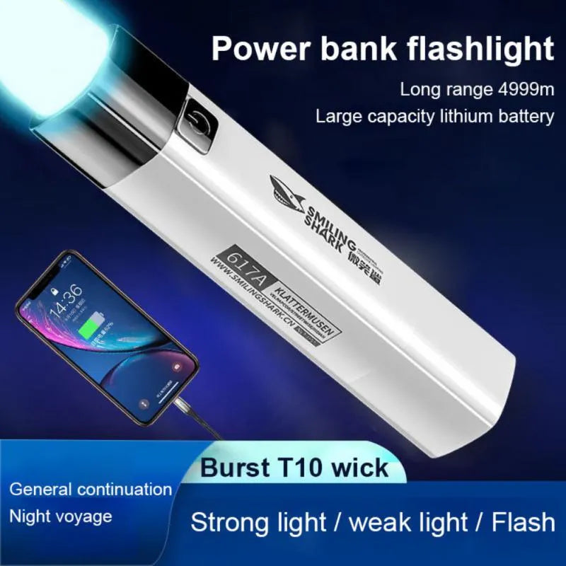 Quick-setup hiking tent-2 IN 1 400LM Mini Torch Power Bank Ultra Bright Tactical LED Flashlight Outdoor Lighting 3 Modes With USB Charging Cable